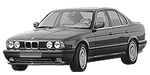 BMW E34 P156C Fault Code